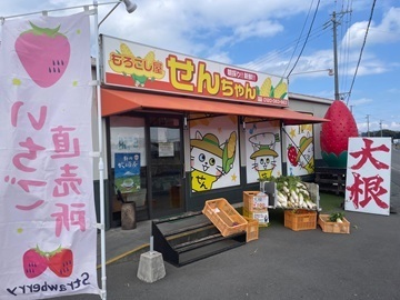 有限会社ヤマセン(いちご)-7