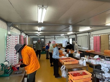 有限会社ヤマセン(いちご)-8