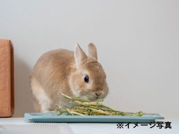 株式会社ウーリー 長野工場(選別・加工)-5