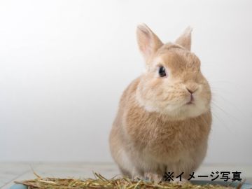 株式会社ウーリー 長野工場(倉庫管理)-5