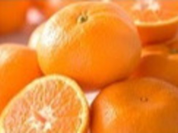 有限会社日研農園-3