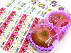 株式会社精晃商会【大阪府・東京都:包装資材営業】-top