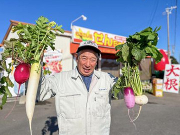 有限会社ヤマセン(いちご)-top