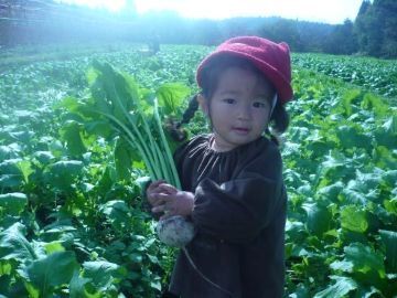 くらぶち草の会-3