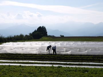 くらぶち草の会-6