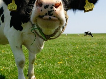 有限会社ファームアビコ-3