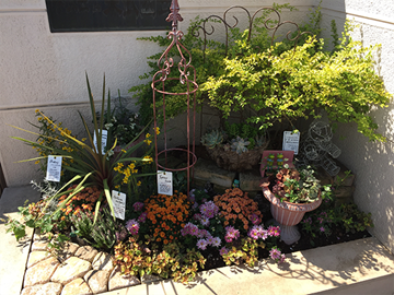 株式会社東武園芸-2