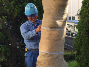 株式会社東武園芸-top