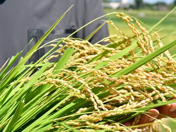 農事組合法人 長戸北部営農組合-3