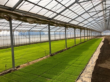 株式会社飯田農園-3