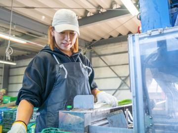 株式会社D'sプランニング-2