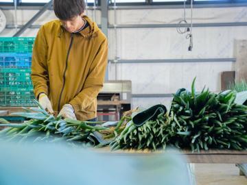 株式会社D'sプランニング-7