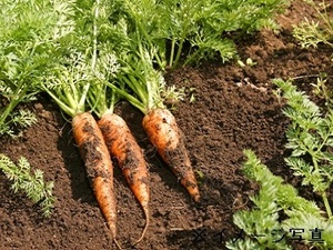 株式会社フジランド 塩沢江戸川荘-top