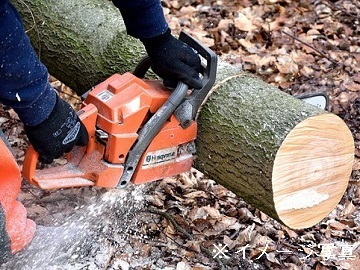 株式会社フジランド 塩沢江戸川荘-2