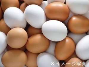 鹿児島県出水市×養鶏/法人【43345】-top