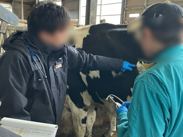 株式会社木原牧場【子牛マネージャー兼技術リーダー】-2