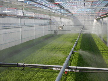 株式会社ノーユー社-4