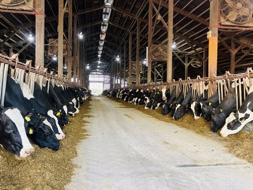 株式会社木原牧場【子牛マネージャー兼技術リーダー】-5