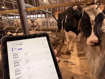 株式会社木原牧場【子牛マネージャー兼技術リーダー】-4