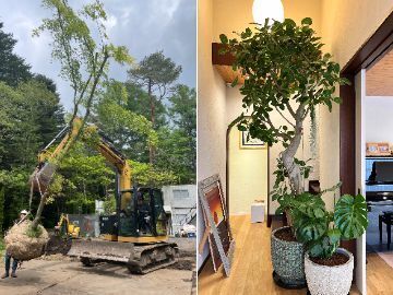 有限会社緑化園-5