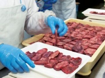 茨城県境町×食肉加工/法人【43349】-1