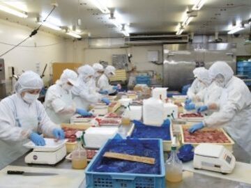 茨城県境町×食肉加工/法人【43349】-2