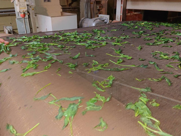 農事組合法人碾茶うじたわら-6