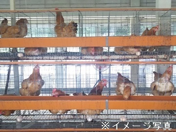 株式会社みやま未来ファーム-1