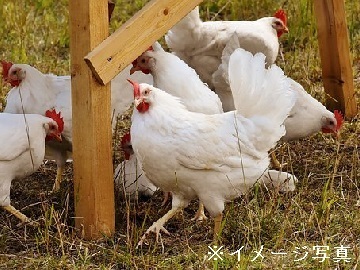 株式会社みやま未来ファーム-3