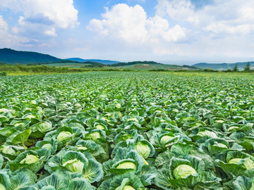 京都府京都市×内勤営業/法人【43351】-1