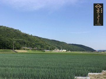 株式会社西陣屋-1