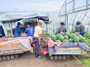 株式会社ファーム山脇-top