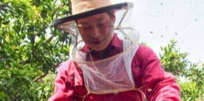 伊豆半島の養蜂場で、ミツバチの管理やハチミツの生産等をおこなう養蜂スタッフを募集！自由な社風の中でスタッフがイキイキと働く職場です☆【未経験歓迎・年休110日】