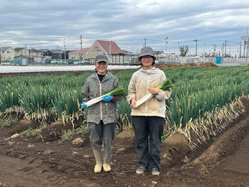 澤田農園(船橋市)-5