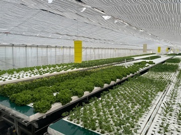 やすらぎ水耕ファーム-7