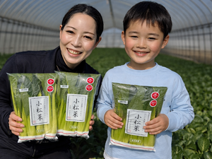 有限会社若谷農園-top