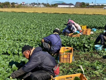 有限会社若谷農園-6