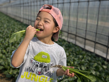 有限会社若谷農園-5