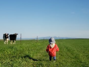 有限会社ファームアビコ-top