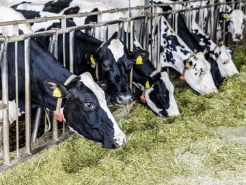 藤原産業株式会社-1