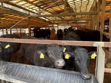 有限会社峠下畜産-1