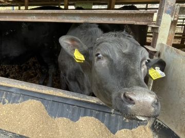 有限会社峠下畜産-4