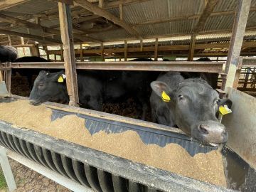 有限会社峠下畜産-7