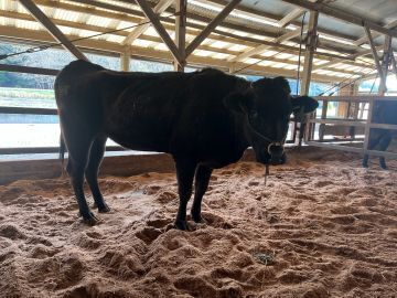 株式会社中野畜産【パート】-top