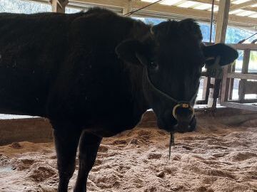 株式会社中野畜産【パート】-1