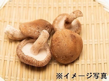 愛知県豊川市×稲作・野菜/法人【38179】-1