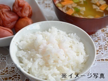 愛知県豊川市×稲作・野菜/法人【38179】-2