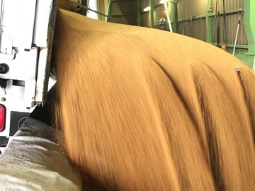 農協サイロ株式会社【短期アルバイト】-4