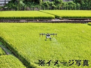 岩手県盛岡市×露地野菜・稲作/法人【43365】-top