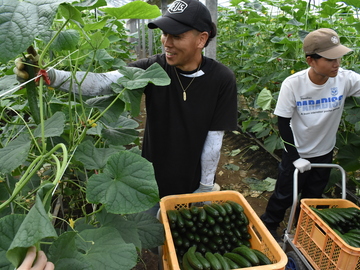 邑楽館林施設園芸等担い手受入協議会-2